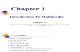 Chapter 1 Imm