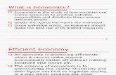 Introduction to Econimics
