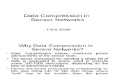 SN DataCompression