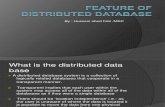 Feature of Distributed Database