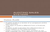 Auditing Sales Systems