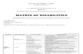 CASTRO - Matrix of Disabilities (EDSP 107)