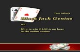 Black Jack Genius En