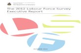 Labour Force Survey 2012 V
