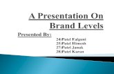 A Presentation on Brand Levels