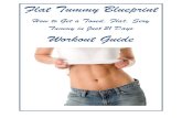 21 Day Flat Tummy Blueprint
