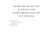 Portfolio in Types of Information System