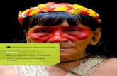 Report - New hope for the forests? - REDD, biodiversity and poverty