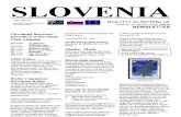 Slovenia SA Newsletter : Summer - poletje 2008-09 No.48