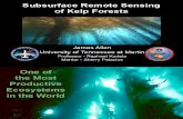 Subsurface Remote Sensing of Kelp Forests