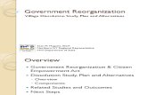 Government Reorganization Jan 2011