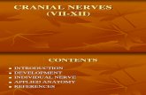 Cranial Nerves(7 12)