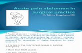 Acute Pain Abdomen in Surgical Practice