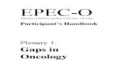 EPEC-O P01 Gaps PH