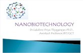 nanobiotechnology ppt