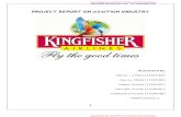 Final Kingfisher Project