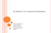 Elements of Labour Economics - Final