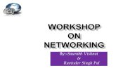 Workshop on Net1