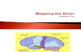 Lesson 3a Mapping the Brain