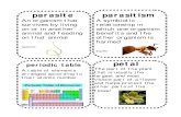Science Small Vocabulary Cards p