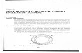Registros de Cemento (Cased Hole and Production Logging Book)