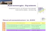 Adrenergic System - Drdhriti