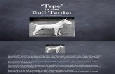 Bul Terrier Types
