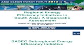 Thierry Lefevre - Regional Energy Efficiency Initiatives in South Asia a Diagnostic Assessment