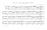 Ludwig Beethoven Moonlight Sonata 3rd Movement