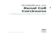 Guidelines Renal Cell Carcinoma Lr II