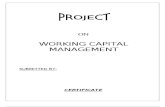 Working Capital Mgmt Projects