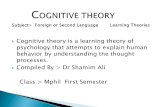 Cognitive Theory Presentation