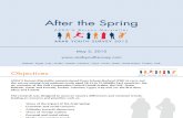 After the Spring - Arab Youth Survey