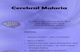 Cerebral Malaria [Dr. Usman Sp. S]