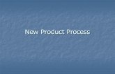 New Product Process