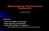 10 - Managing Business Growth
