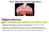 Chap07 Respiratory