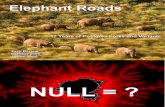 Elephant Roads