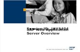 SAP Web Application Overview