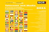 Telecoms and Media - Argentina - 2011