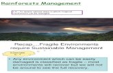 Rain Forests Management