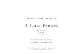 Bach - 3 Lute Pieces