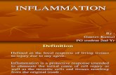 7 Basics of Inflammation