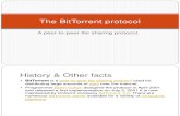 The Bit Torrent Protocol