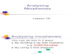 08 09.7A.morph.analysis (1)