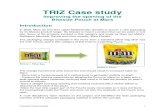 Triz Case Study 2