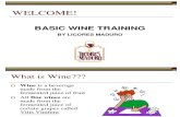 General Wine Training Short