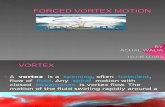 Vortex Motion
