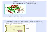 1 GTP-Binding Proteins as Molecular Switches Wittinghofer