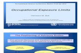 Occupational Exposure Limits by Hermann Bolt